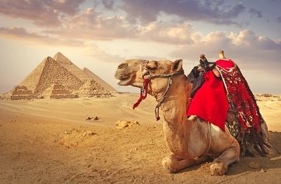 Egypt travel scene